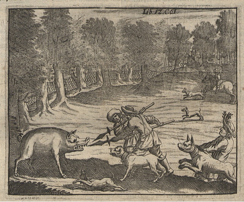 An illustration of two seventeenth-century buccaneers attacking a wild boar with spears.